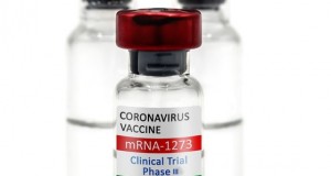 进展|Comirnaty新冠疫苗美国获批接种5至11岁的儿童