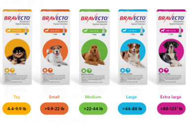 进展|BRAVECTO(犬用咀嚼片)美国获批治疗和控制亚洲长角蜱