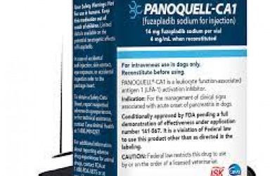 进展|Panoquell-CA1美国获批治疗犬胰腺炎急性发作