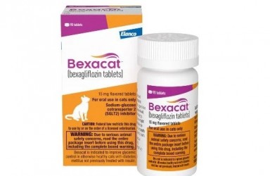 首款|Bexacat(Bexagliflozin)美国获批治疗猫的糖尿病