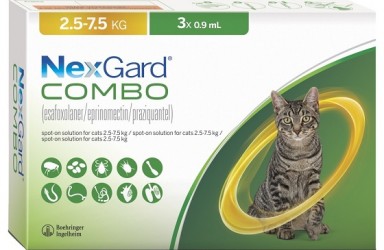 首款|NexGard®COMBO广谱寄生虫保护剂美国获批治疗猫的绦虫