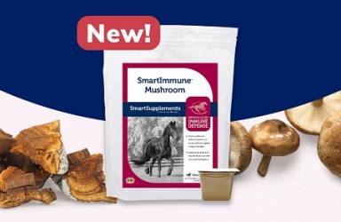 进展|SmartImmune蘑菇美国上市提高马的免疫力