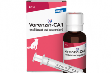 首款|Varenzin-CA1美国获有条件批准治疗猫的慢性肾脏病贫血症