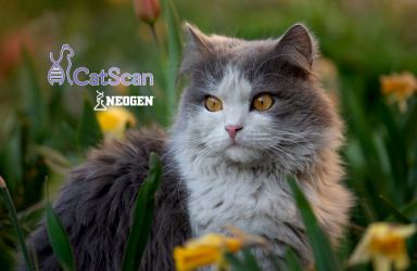 进展|增强型MyCatScan美国上市测试猫的基因组