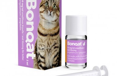 新药|Bonqat(普瑞巴林)口服溶液美国获批缓解猫的焦虑